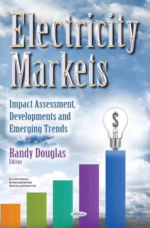 Flash Sale Electricity Markets: Impact Assessment, Developments and Emerging Trends