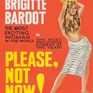 Affordable Please, Not Now! [Blu-ray]