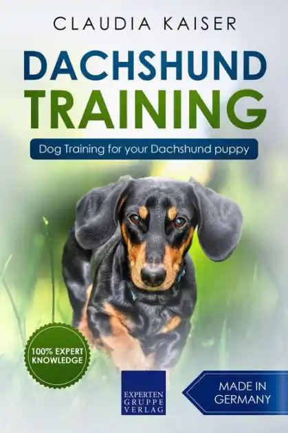 Special Discount Dachshund Training: Dog Training for Your Dachshund Puppy