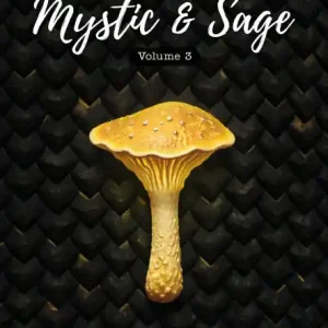 The Adventures Of Mystic & Sage Vol: 3 Budget