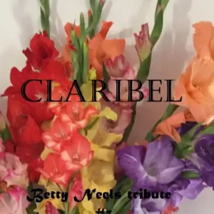 Claribel (Betty Neels tribute, #3) Don’t Miss Out