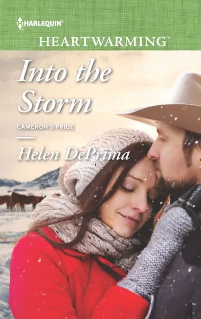 Into the Storm: A Clean Romance Must Have