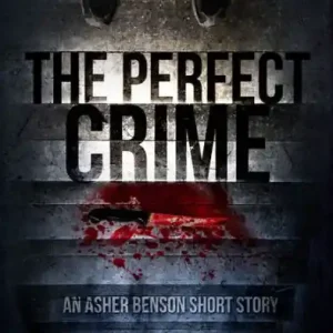 Limited Edition The Perfect Crime (Asher Benson #1.5)