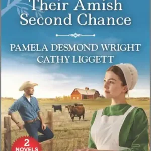 Their Amish Second Chance Flash Sale