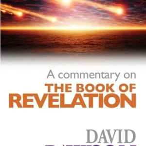 Fast Shipping A Commentary on the Book of Revelation