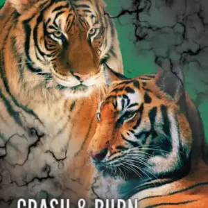 Shop Now Crash & Burn