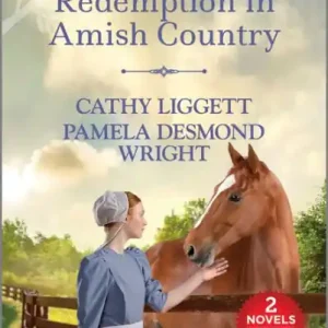 Redemption in Amish Country Popular