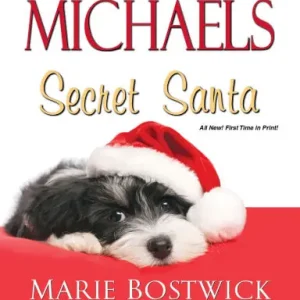 Secret Santa Seasonal Sale