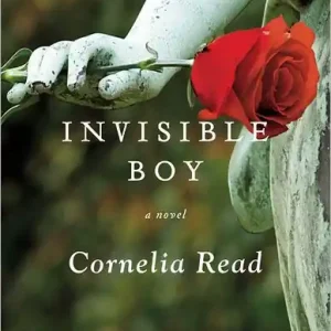 Invisible Boy (Madeline Dare Series #3) Buy Today