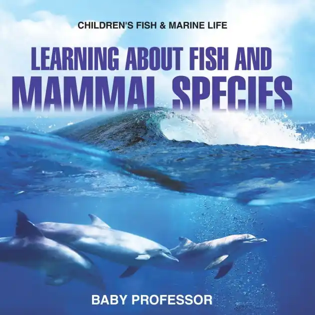 Learning about Fish and Mammal Species Children's Fish & Marine Life Factory Price