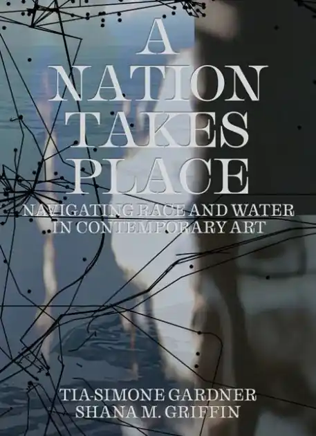 A Nation Takes Place: Navigating Race and Water in Contemporary Art Budget