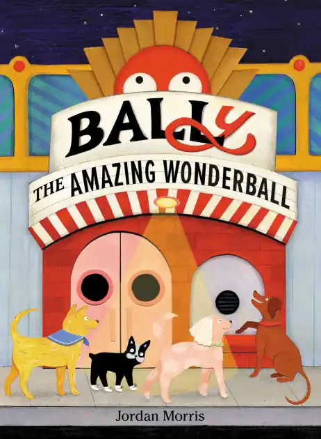 Discount BALLy the Amazing Wonderball